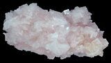 Pink Halite Crystal Plate - Trona, California #61059-3